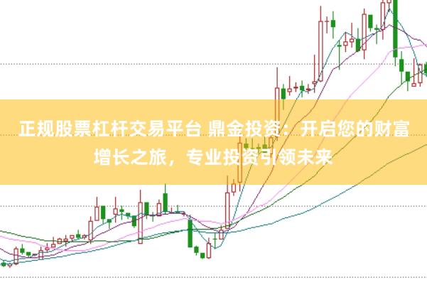 正规股票杠杆交易平台 鼎金投资：开启您的财富增长之旅，专业投资引领未来