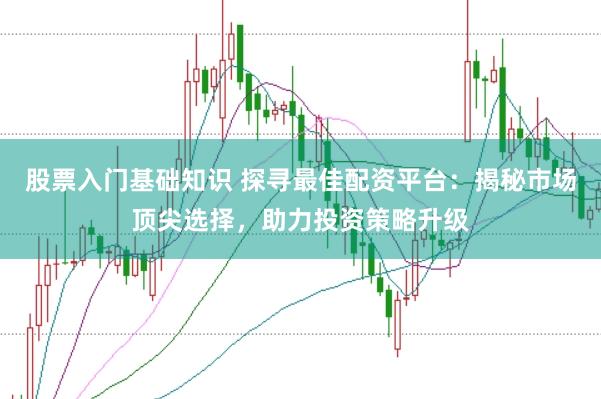 股票入门基础知识 探寻最佳配资平台：揭秘市场顶尖选择，助力投资策略升级