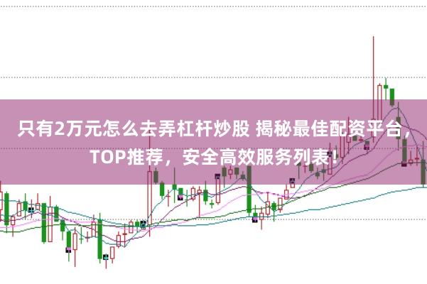 只有2万元怎么去弄杠杆炒股 揭秘最佳配资平台，TOP推荐，安全高效服务列表！