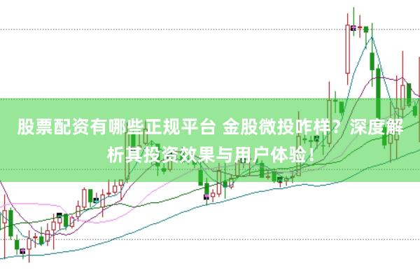 股票配资有哪些正规平台 金股微投咋样？深度解析其投资效果与用户体验！