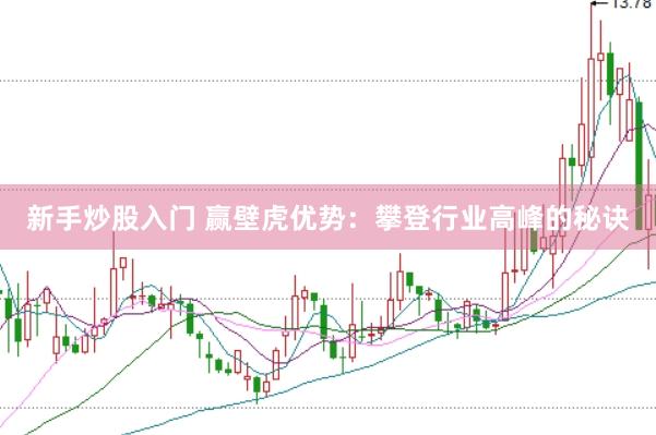 新手炒股入门 赢壁虎优势：攀登行业高峰的秘诀