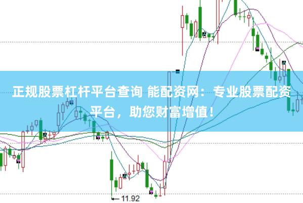 正规股票杠杆平台查询 能配资网：专业股票配资平台，助您财富增值！