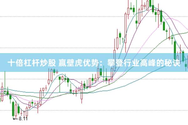 十倍杠杆炒股 赢壁虎优势：攀登行业高峰的秘诀