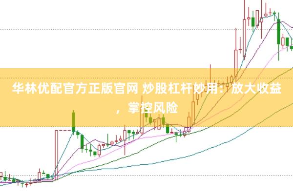 华林优配官方正版官网 炒股杠杆妙用：放大收益，掌控风险