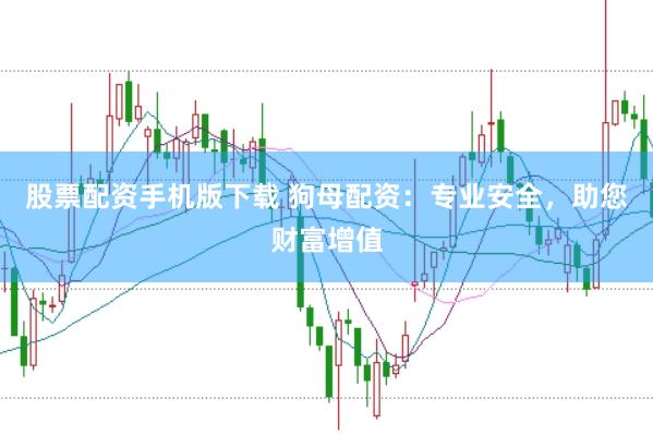 股票配资手机版下载 狗母配资：专业安全，助您财富增值
