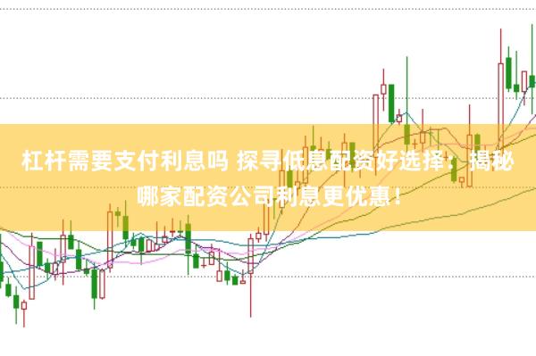 杠杆需要支付利息吗 探寻低息配资好选择：揭秘哪家配资公司利息更优惠！