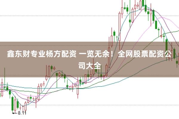 鑫东财专业杨方配资 一览无余！全网股票配资公司大全
