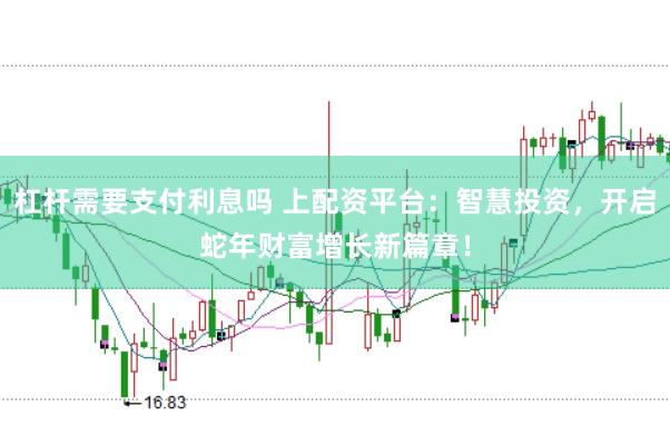 杠杆需要支付利息吗 上配资平台：智慧投资，开启蛇年财富增长新篇章！