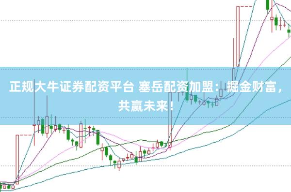 正规大牛证券配资平台 塞岳配资加盟：掘金财富，共赢未来！