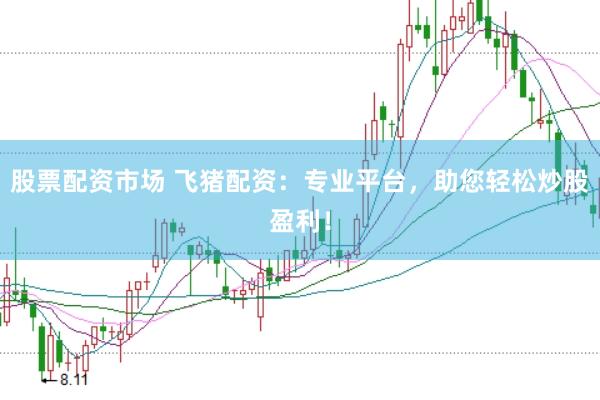 股票配资市场 飞猪配资：专业平台，助您轻松炒股盈利！