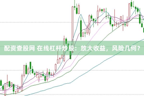 配资查股网 在线杠杆炒股：放大收益，风险几何？