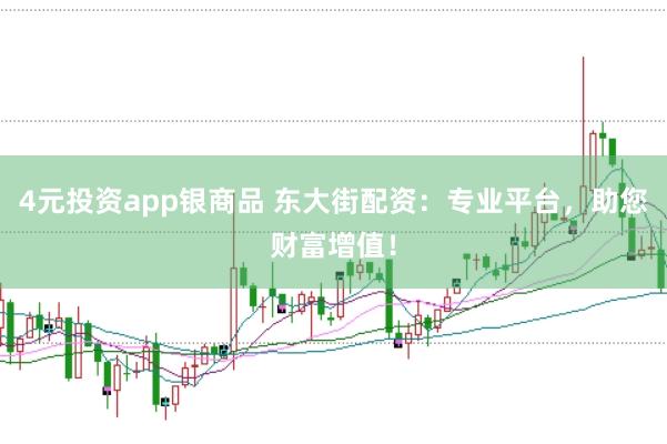 4元投资app银商品 东大街配资：专业平台，助您财富增值！