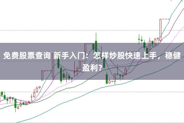 免费股票查询 新手入门：怎样炒股快速上手，稳健盈利？