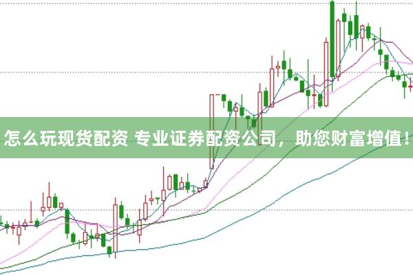怎么玩现货配资 专业证券配资公司，助您财富增值！