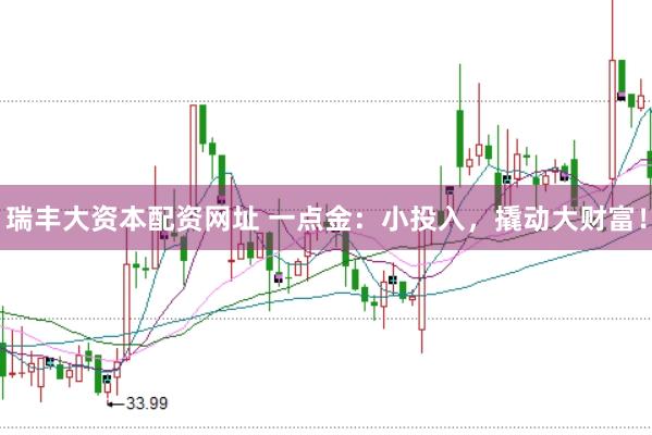 瑞丰大资本配资网址 一点金：小投入，撬动大财富！