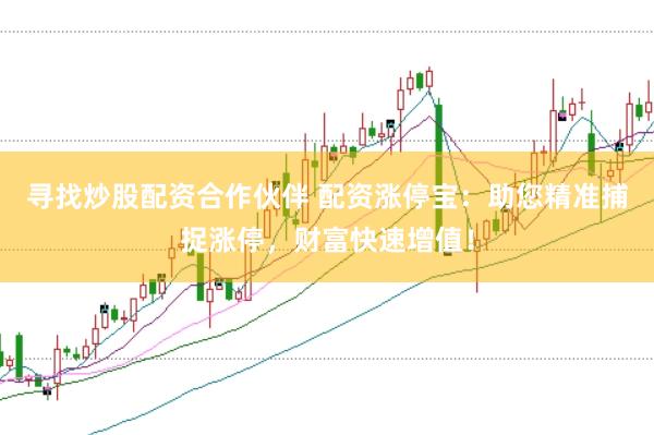寻找炒股配资合作伙伴 配资涨停宝：助您精准捕捉涨停，财富快速增值！