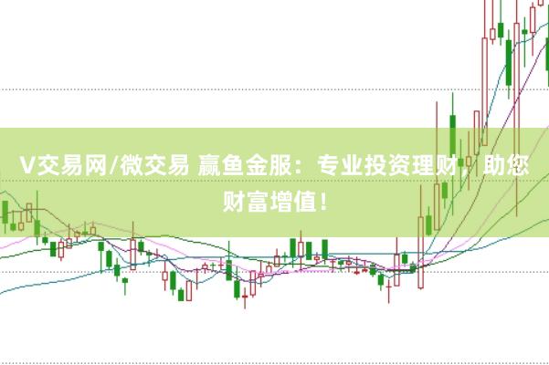 V交易网/微交易 赢鱼金服：专业投资理财，助您财富增值！