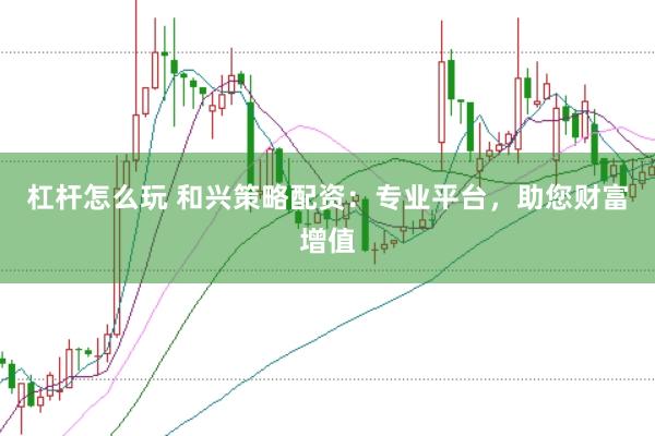 杠杆怎么玩 和兴策略配资：专业平台，助您财富增值