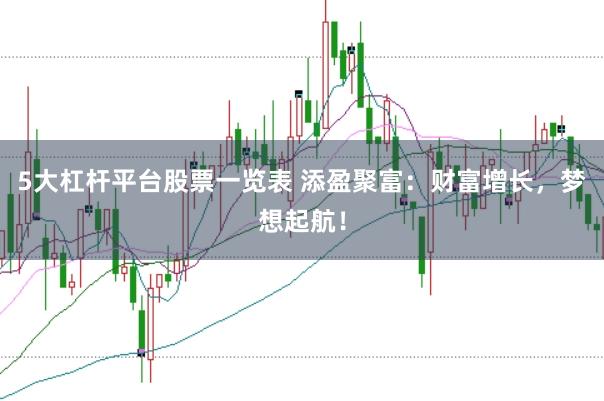 5大杠杆平台股票一览表 添盈聚富：财富增长，梦想起航！