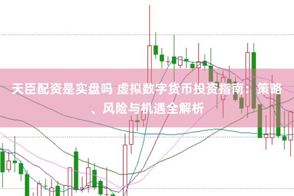 天臣配资是实盘吗 虚拟数字货币投资指南：策略、风险与机遇全解析