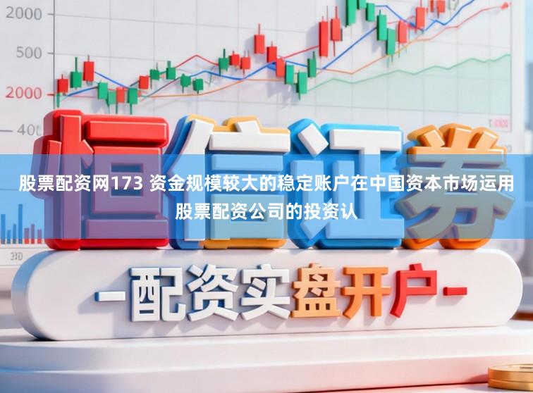 股票配资网173 资金规模较大的稳定账户在中国资本市场运用股票配资公司的投资认